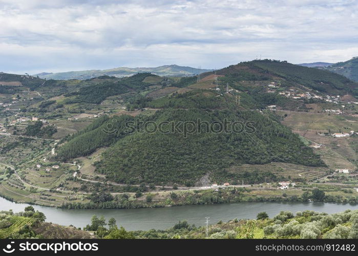 Vineyards of the River Douro region in Portugal. Viticulture in the Portuguese village