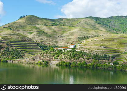 Vineyards on the Banks of the River Douro in Portugal