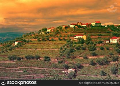 Vineyards on the Hills of Portugal at Sunset, Vintage Style Toned Picture