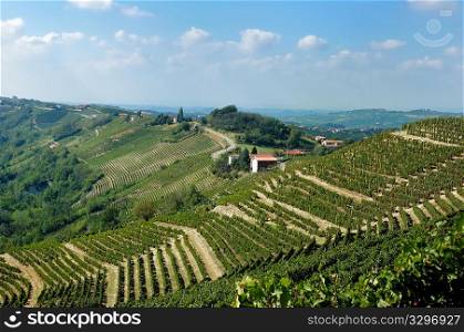 Vineyards panorama, Barbaresco hills, piemonte, Italy