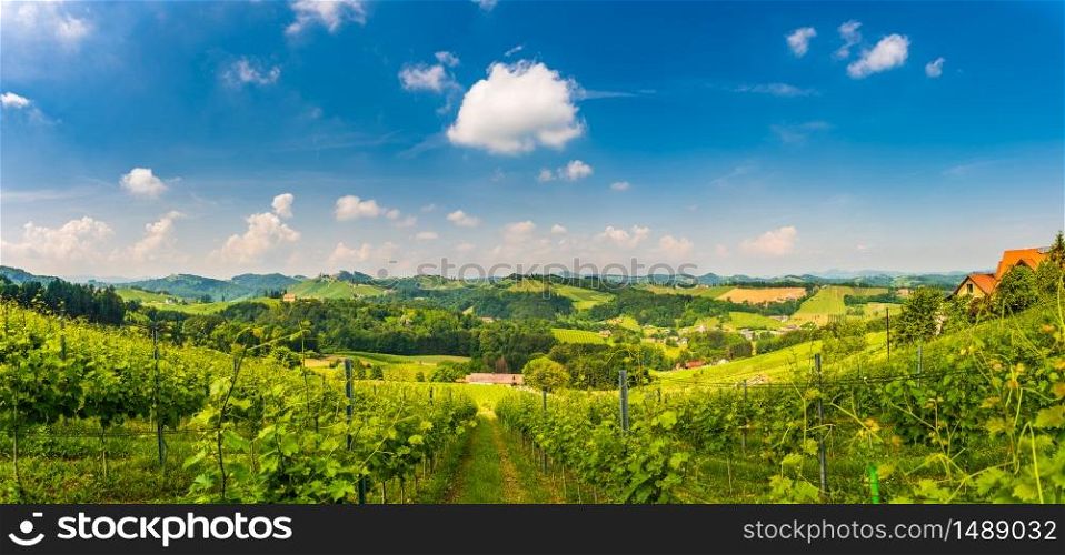 Vineyards panorama Sulztal Leibnitz area famous destination wine street area south Styria , wine country in summer. Tourist destination. Green hills and crops of grapes. Sunny weather blue sky Tourist spot.. Sulztal, Styria Austria Vineyards panorama Sulztal Leibnitz area famous destination wine street area south Styria , wine country in summer. Tourist destination. Green hills and crops of grapes. Sunny weather blue sky Tourist spot.