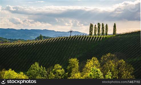 Vineyards Sulztal famous destination wine street area south Styria , wine country in spring. Tourist destination. Green hills and crops of grapes.. Austria Vineyards Sulztal wine street area south Styria , wine country. Tourist destination