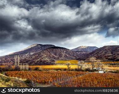 Vineyards. The Autumn Valley. HDR. Vineyards. Autumn valley against the background of mountains and sky. HDR