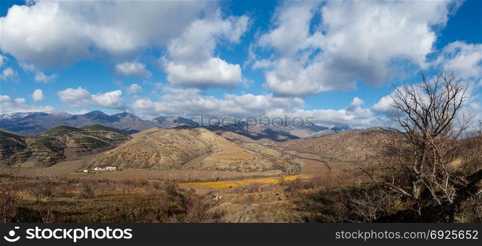 Vineyards. The Autumn Valley. Vineyard on a background of mountains and sky