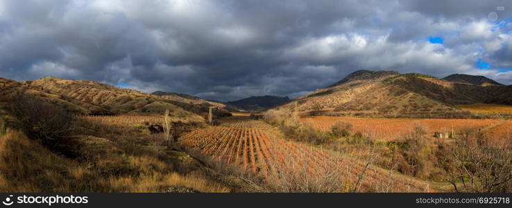 Vineyards. The Autumn Valley. Vineyards. Autumn valley against the background of mountains and sky