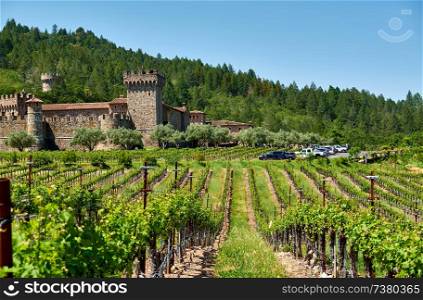 Vineyards with castle in California, USA