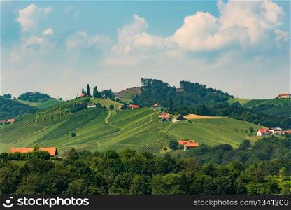 Vineyards with winery in spring / summer may / april -, Southern Styria Austria / Slovenia. Austria Vineyards Leibnitz area south Styria travel spot