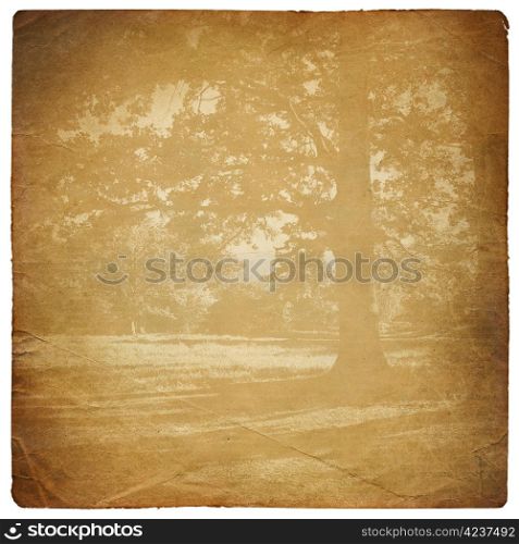 Vintage abstract oak forest background