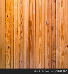 Vintage background from a wooden plank. Toned image