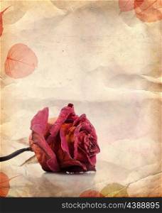 Vintage background with dried red rose and leaves
