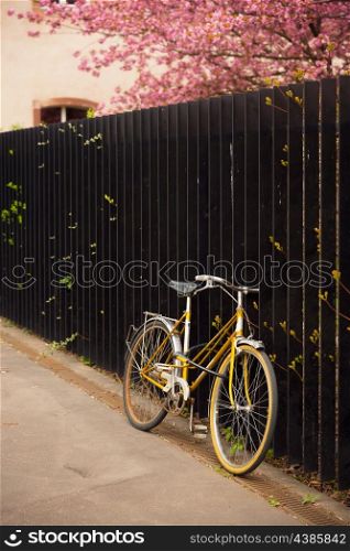 vintage bicycle fastened at the fence