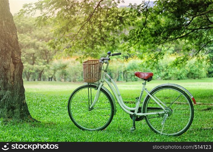 Vintage bicycle parked on the green grass in the public park,Exercise and tourism concepts on vacation.