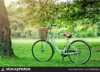 Vintage bicycle parked on the green grass in the public park,Exercise and tourism concepts on vacation.