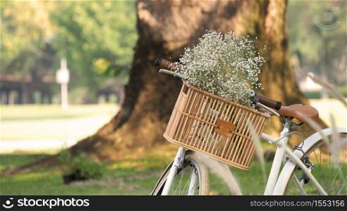 Vintage bike or bicycle and brown color wooden basket in the front and little white color flowers inside and national park background in the day time lighting which shown relaxation mood tone.
