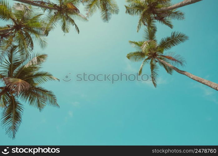 Vintage color stylized palms over sky background with copy space