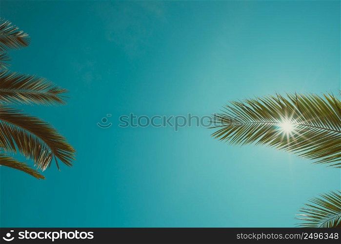 Vintage color toned palm trees leaves and clean sky with shining sun background
