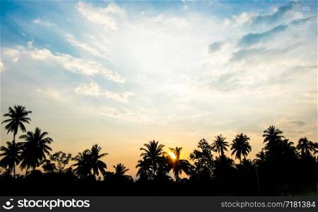 vintage filter : silhouette landscape of coconut tree ,tropical sunset scene in Thailand.