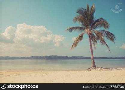 Vintage filtered shot of a single palm tree on a beautiful tropical beach with white sand
