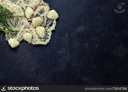 Vintage Fishing net with Clams on dark background