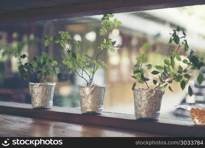 vintage flower pot in coffee cafe