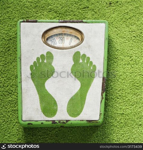 Vintage foot scale with green footprints against green carpet.