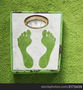 Vintage foot scale with green footprints against green carpet.