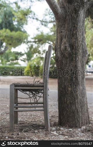 Vintage greek chair and a tree. Greece