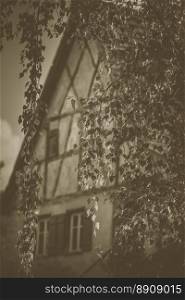 Vintage image with hanging birch tree leaves in the foreground and an old german house in background