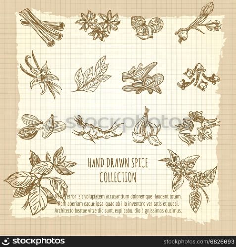 Vintage kitchen poster with spice collection. Vintage kitchen poster with hand drawn spice collection. Vector illustration