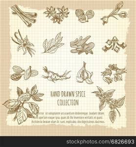 Vintage kitchen poster with spice collection. Vintage kitchen poster with hand drawn spice collection. Vector illustration