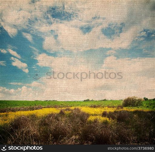Vintage landscape with meadow and cloudy sky