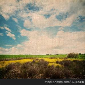 Vintage landscape with meadow and cloudy sky