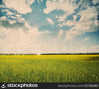 Vintage landscape with yellow flowers under a cloudy sky