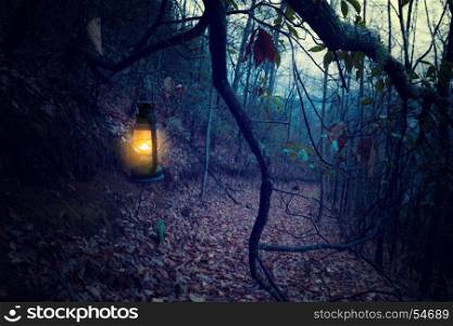 Vintage lantern at dark old forest