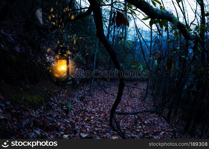 Vintage old burning yellow lantern at dark moody forest. Vintage old lantern at dark moody forest