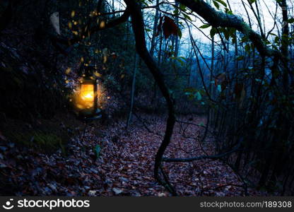 Vintage old burning yellow lantern at dark moody forest. Vintage old lantern at dark moody forest
