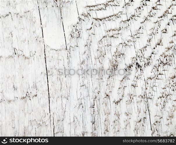 Vintage or grungy white background of natural wood.