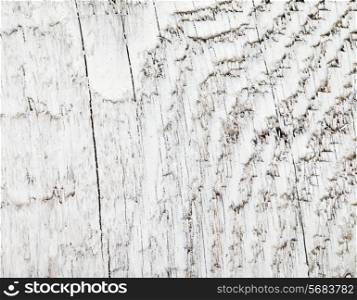 Vintage or grungy white background of natural wood.