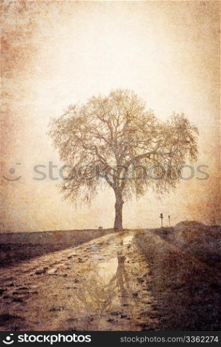 Vintage picture of a tree - winter season