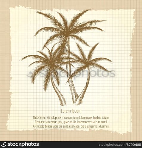 Vintage poster with palm tree. Vintage poster with palm tree on notebook page. Vector illustration