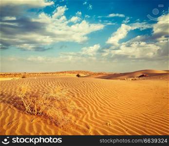 Vintage retro effect filtered hipster style image of  dunes of Thar Desert. Sam Sand dunes, Rajasthan, India. Dunes of Thar Desert, Rajasthan, India