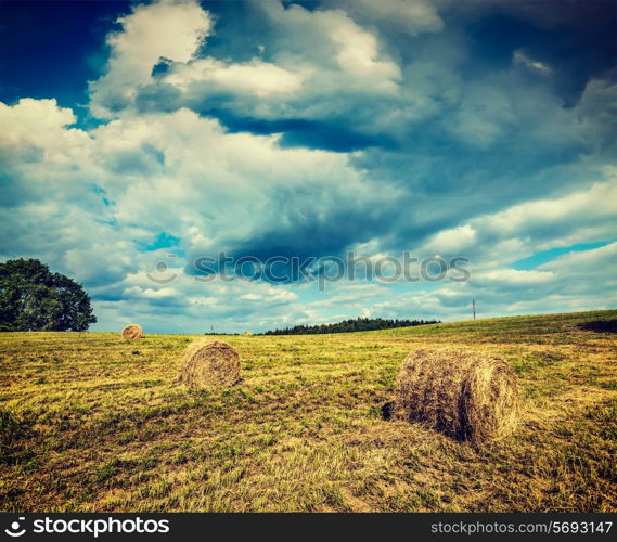 Vintage retro effect filtered hipster style image of hay bales on field in summer