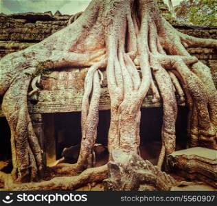 Vintage retro effect filtered hipster style travel image of ancient ruins with tree roots, Ta Prohm temple, Angkor, Cambodia