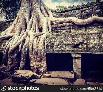 Vintage retro effect filtered hipster style travel image of ancient ruins with tree roots, Ta Prohm temple ruins, Angkor, Cambodia