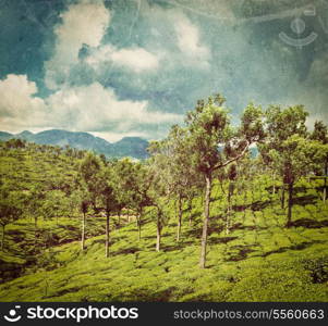 Vintage retro hipster style travel image of Kerala India travel background - green tea plantations with trees in Munnar, Kerala, India close up with grunge texture overlaid