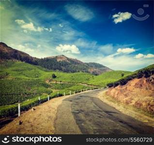 Vintage retro hipster style travel image of Kerala India travel background - road in green tea plantations in mountains in Munnar, Kerala, India
