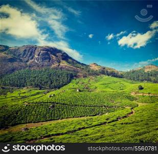 Vintage retro hipster style travel image of Kerala India travel background - green tea plantations in Munnar, Kerala, India - tourist attraction
