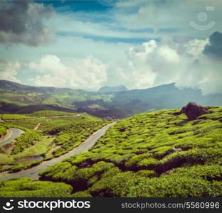 Vintage retro hipster style travel image of Kerala India travel background - road in green tea plantations in mountains in Munnar, Kerala, India