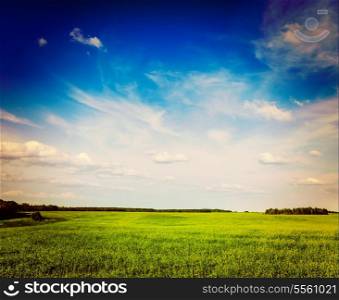 Vintage retro hipster style travel image of spring summer background - green grass field meadow scenery lanscape with blue sky