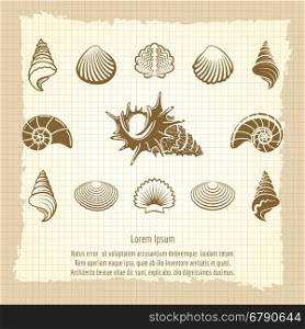 Vintage sea shell silhouettes set. Vintage sea shell silhouettes set on notebook page. Ocean retro poster vector illustration